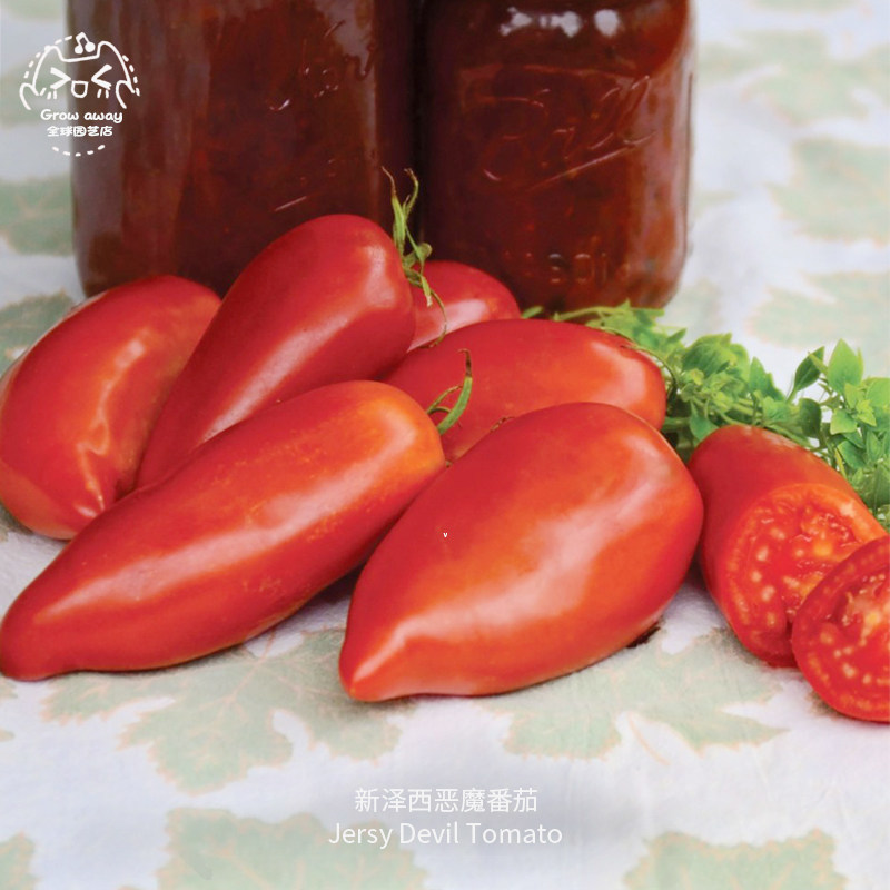 新泽西恶魔番茄种子浓郁多肉籽少美国进口传家宝春秋阳台盆栽蔬菜