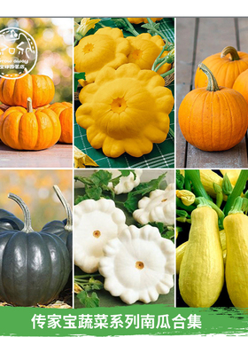 传家宝迷你扇贝巨型小南瓜种子合集春秋阳台甜糯食用盆栽可留种