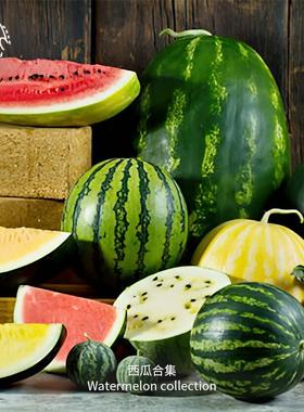 传家宝西瓜种子合集老品种迷你高产超甜水果可留种室内盆栽水果