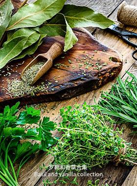 香草种子合集圣罗勒柠檬薄荷鼠尾草传家宝可留种家庭室内四季盆栽