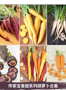 传家宝胡萝卜种子合集浓郁甜脆混合迷你盆栽口种子经典春秋易种