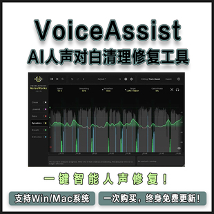 VoiceAssist 智能AI人声对白降噪去混响去齿音去气声响度匹配工具