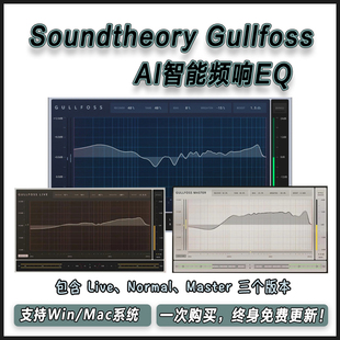 Soundtheory Gullfoss AI智能EQ均衡效果器3件套古佛寺混音插件