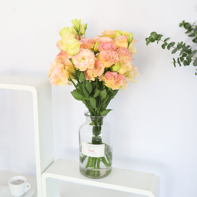 花里家洋桔梗室内装饰鲜花水培稀有花卉基地直发鲜切花束同城速递