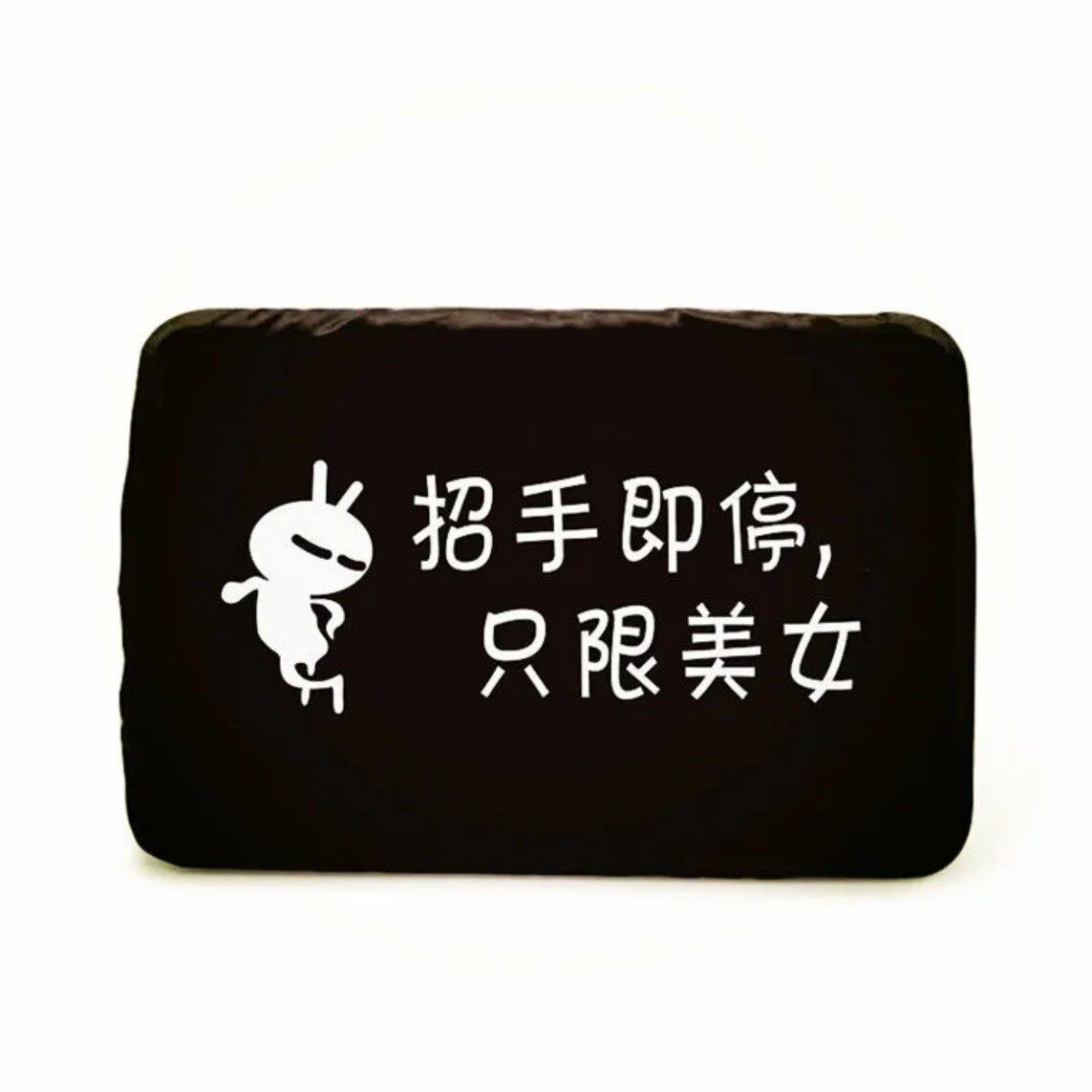 托车牌照套 电动车牌套 九号车牌套vip摩托挡车牌 拍照套摩