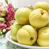 Chestnut Papa Tangshan Fragrant white apricot 5 pounds Breed Fragrant and sweet