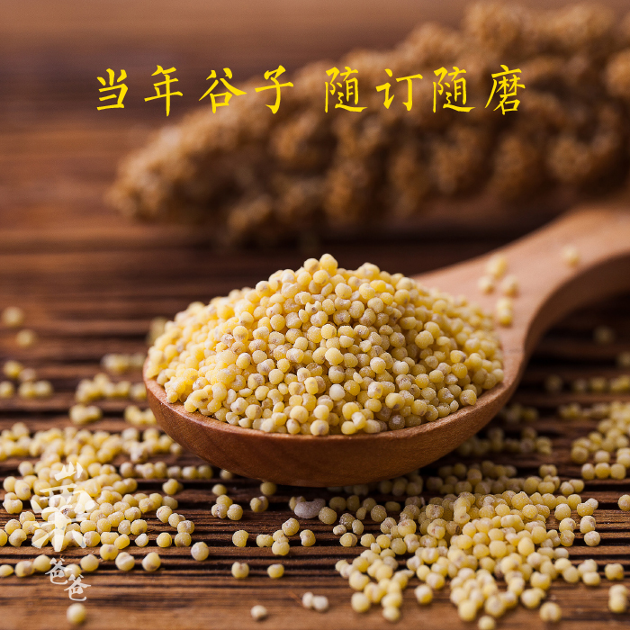 (用1元券)山栗爸爸山地当年现磨1斤/包小米