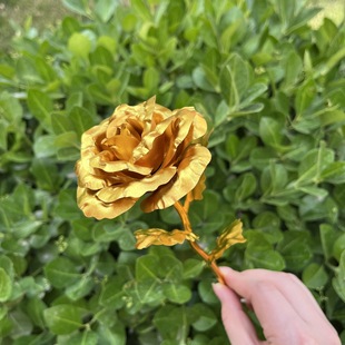 铄捷三角洲周边 红狼蚀金玫瑰DIY手工礼品玫瑰花来情人节礼物饰品