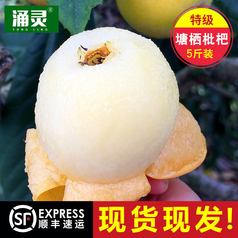 正宗塘栖枇杷塘栖白沙枇杷超鲜甜5斤装礼盒新鲜水果杭州白玉现货