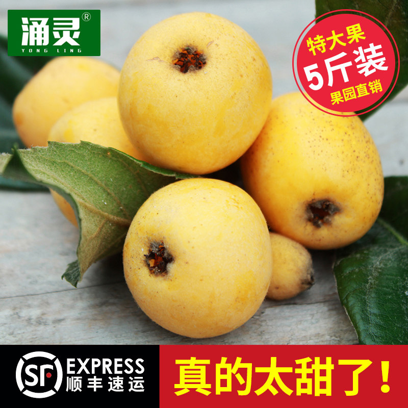 正宗塘栖枇杷白沙枇杷贡品新鲜水果胜东山白玉宁海特大果5斤顺丰在类目 水产肉类/新鲜蔬果/熟食, 新鲜水果, 枇杷中 - 来自Buy2taobao.com提供专业的淘宝代购服务