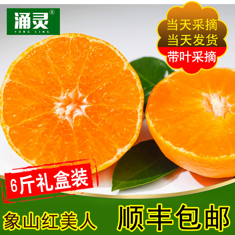 贡品正宗象山红美人桔子现摘礼盒