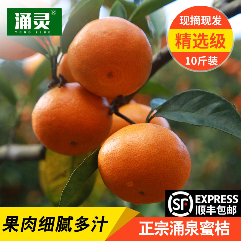 精品正宗涌泉蜜桔山上核心产区种植临海宫川早熟新鲜水果橘子10斤,水产肉类/新鲜蔬果/熟食,桔子,淘宝优惠券,粉丝福利购,淘宝优惠卷