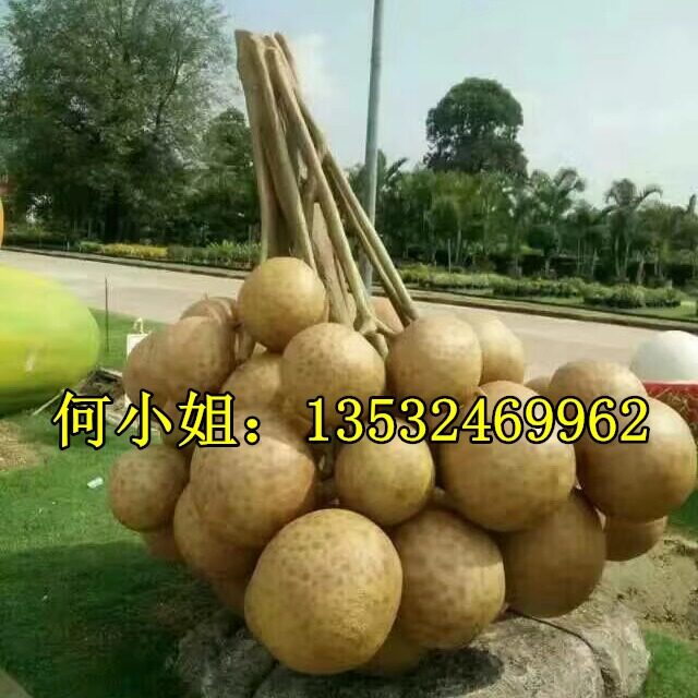 水果农业园定制巨型龙眼模型雕塑玻璃钢桂圆荔枝小品芒果造型摆件