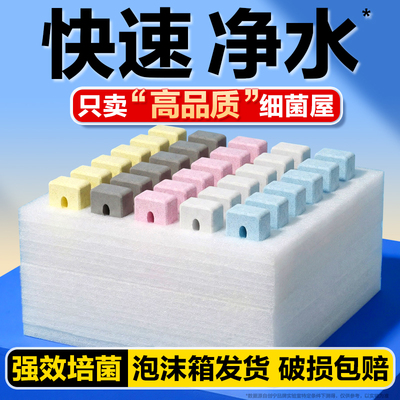 推荐！鱼缸专用高端滤材细菌屋