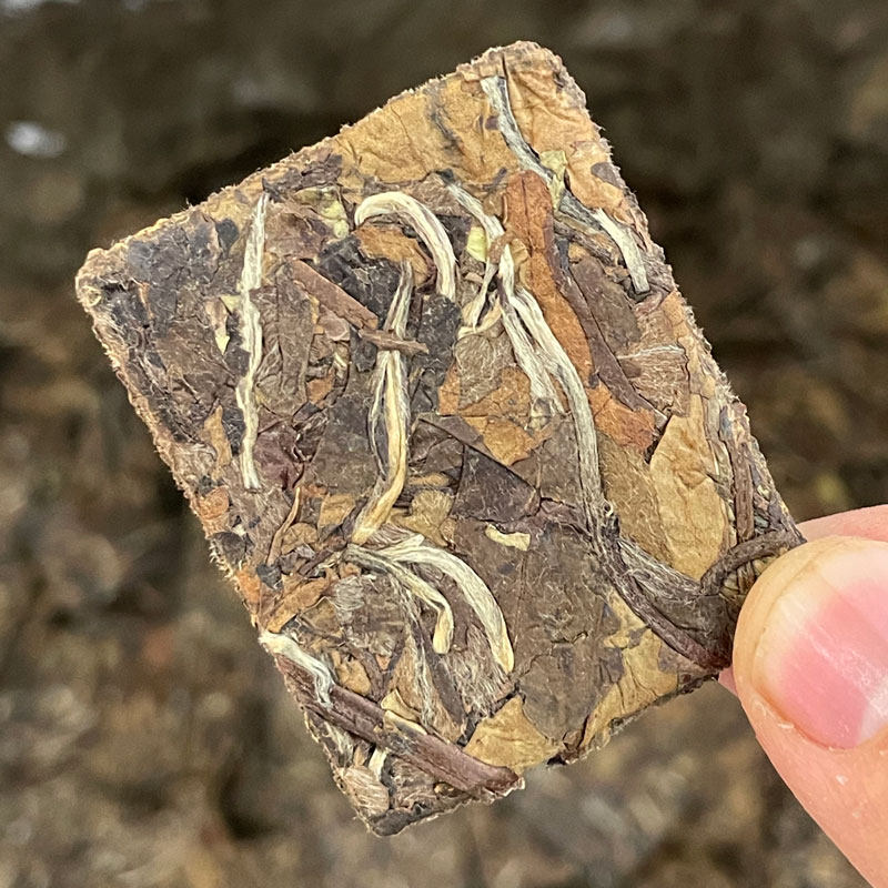 现货福鼎白茶小方片老白茶一斤装2016年寿眉独立小泡袋饼干茶白茶