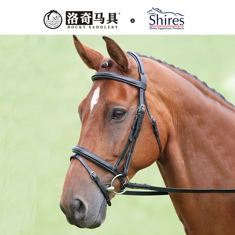 英国Shires-索尔兹伯里 牛皮水勒缰 英式马术缰绳马具8208045