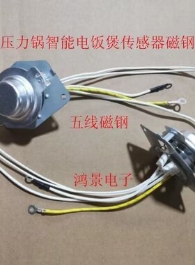原厂压力锅配件智能电饭煲锅电子磁钢压力锅感温传感器温控器5线