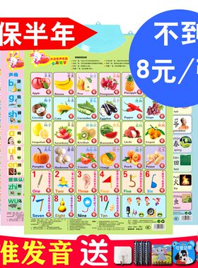 早教认知墙贴语音玩具有声挂图