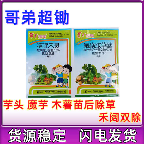 青岛丰邦哥弟超锄芋头魔芋