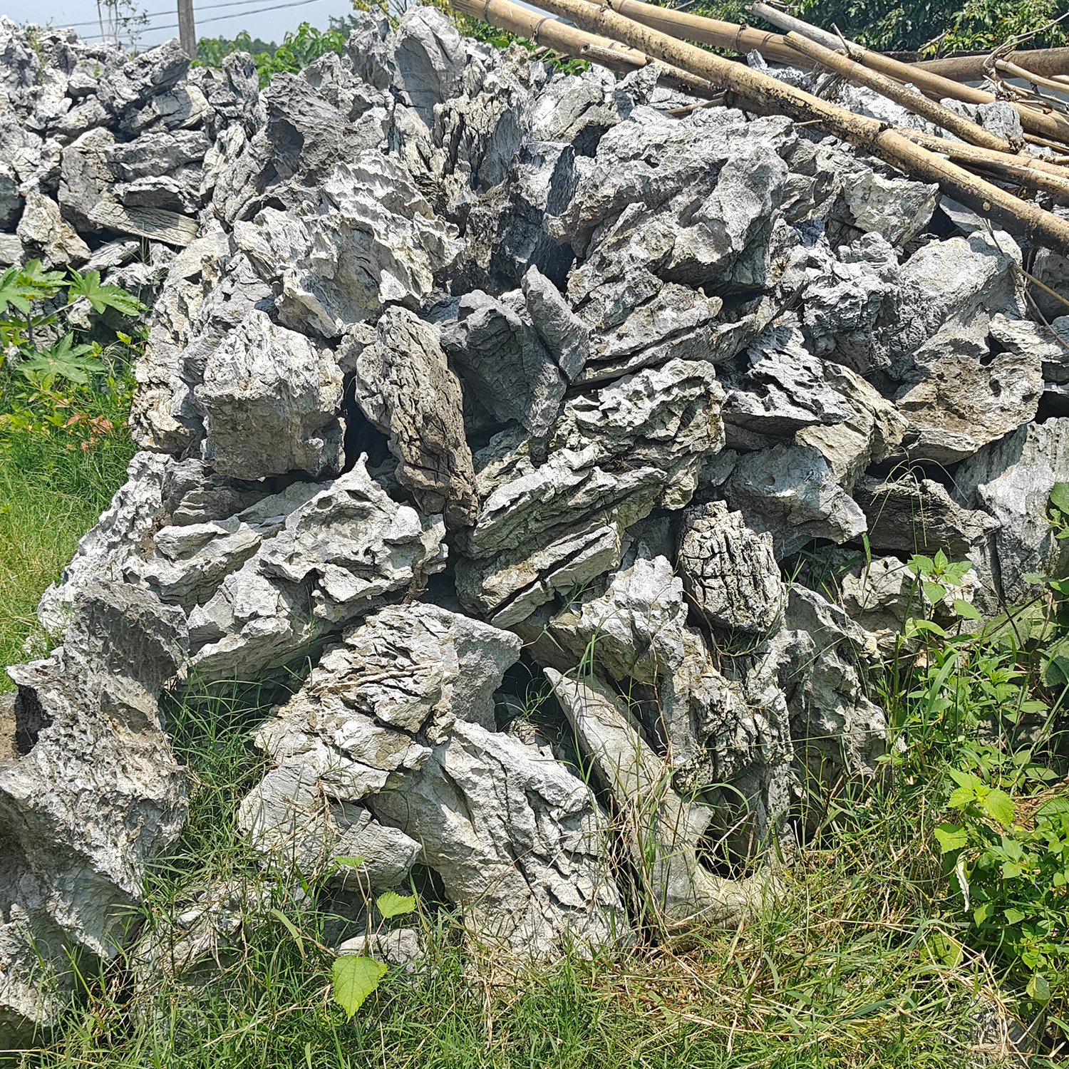 直播间一物一拍 英石批发青龙石鱼缸造景装饰天然石水陆缸小米图片