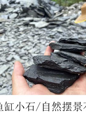 微景观阶梯小薄片石乌龟爬台石片原生溪流缸造景水陆缸