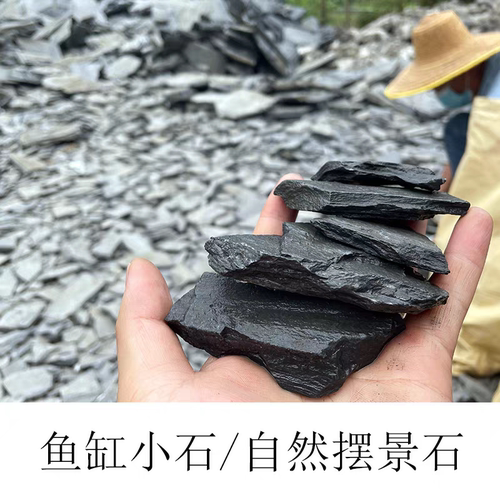 微景观阶梯小薄片石乌龟爬台石片原生溪流缸造景水陆缸