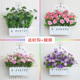 客厅墙壁装 饰仿真绿植挂件餐厅墙面卧室房间墙上装 饰花草植物挂饰