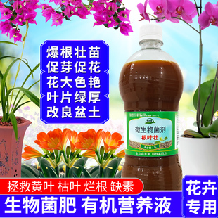花卉液体肥绿植有机生物菌肥氨基酸兰花三角梅催花多肉生根营养液