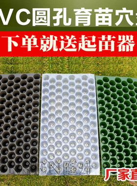 辣椒育苗托盘黑色圆孔穴盘白色种植绿色圆孔菜盘哈密瓜蔬菜苗玉米