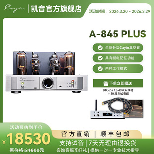 cayinA 845PLUS凯音斯巴克hifi发烧胆机电子管功放家用胆机功放机