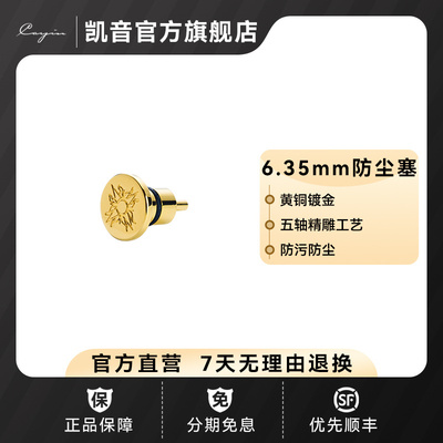 Cayin防尘塞专用定制便携