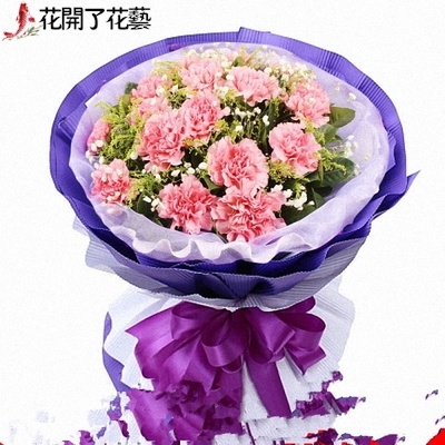 沈阳大东皇姑苏家屯浑南区同城鲜花店速递同城送花11康乃馨满城县