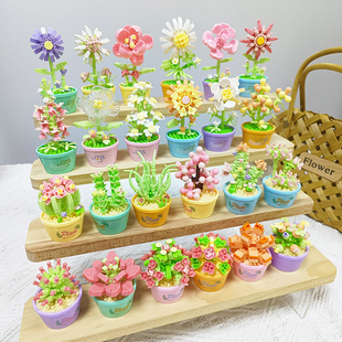2025新款 玩具微小颗粒花束多肉盆栽情人节礼物 永生积木花益智拼装