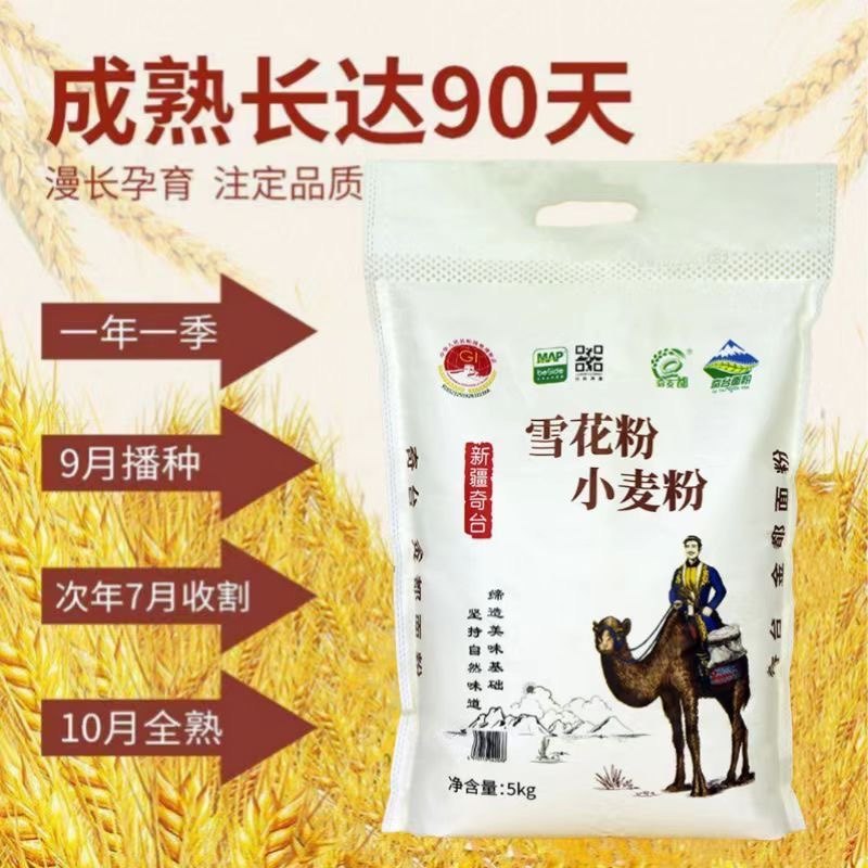 雪花粉新疆包子奇台面粉