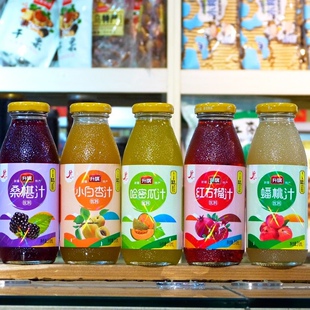 新疆特产升旗果汁饮料石榴 哈密瓜蟠桃小白杏桑椹果汁含量50%