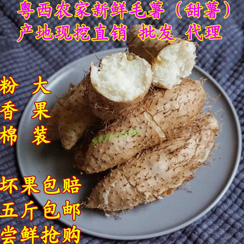 大甜薯5斤包邮 广东特产新鲜毛薯粉香糯田薯现挖虾米薯参薯黎洞薯