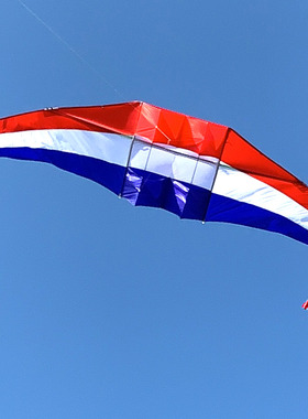 新款追风者滑翔机风筝微风易飞大型成人立体伞布碳素杆雷达抗大风