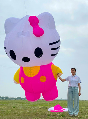 奥月软体挂件风筝KT猫大型高档成人立体40D伞布需领航带不能单飞