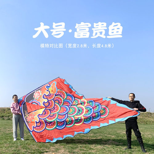 奥月国潮富贵鱼风筝新手微风易飞