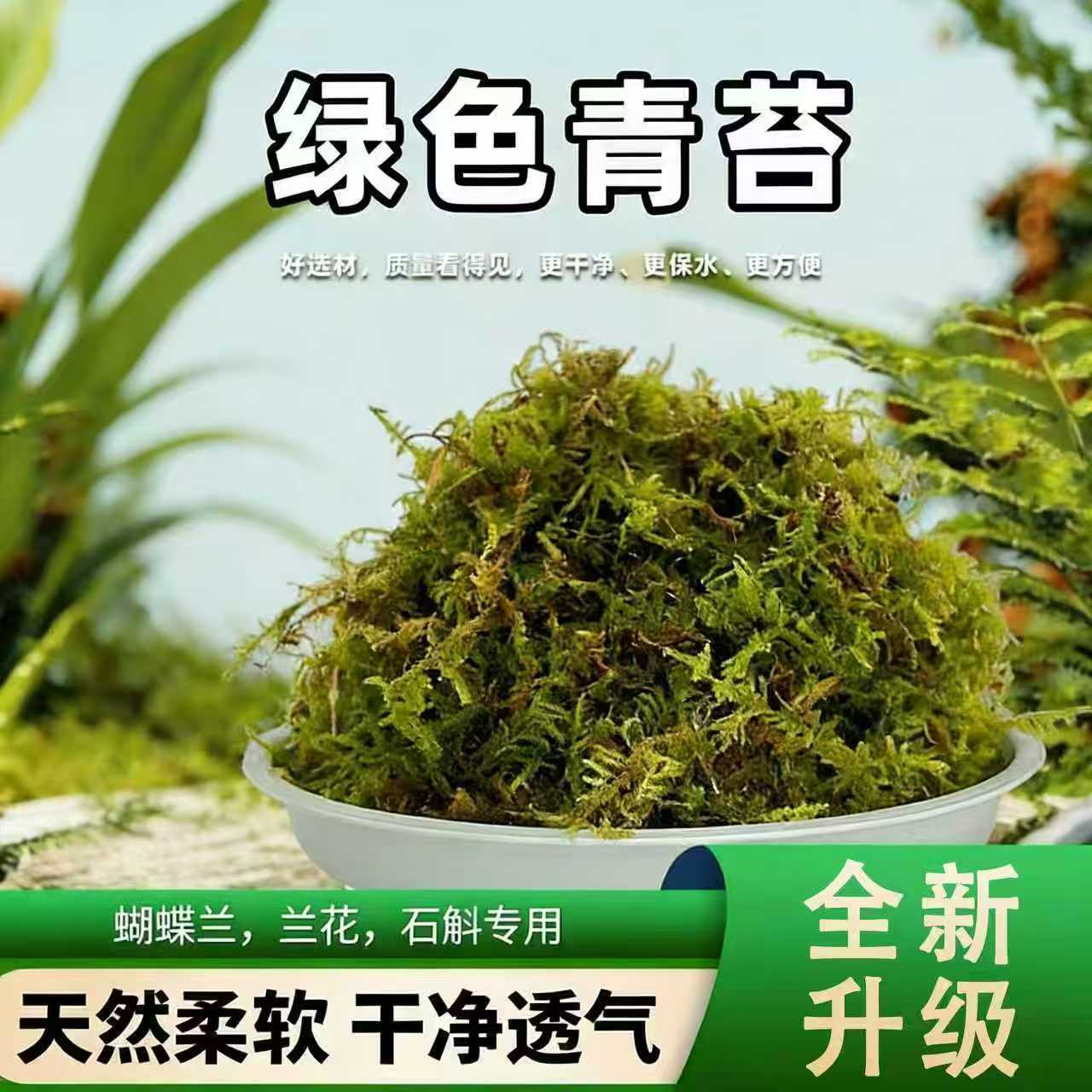 天然优质干苔藓爬宠冬眠椰土搭配