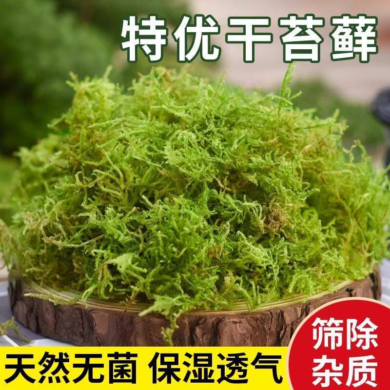 天然优质干苔藓爬宠冬眠椰土搭配