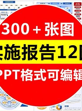 实施报告十二12图ppt模板