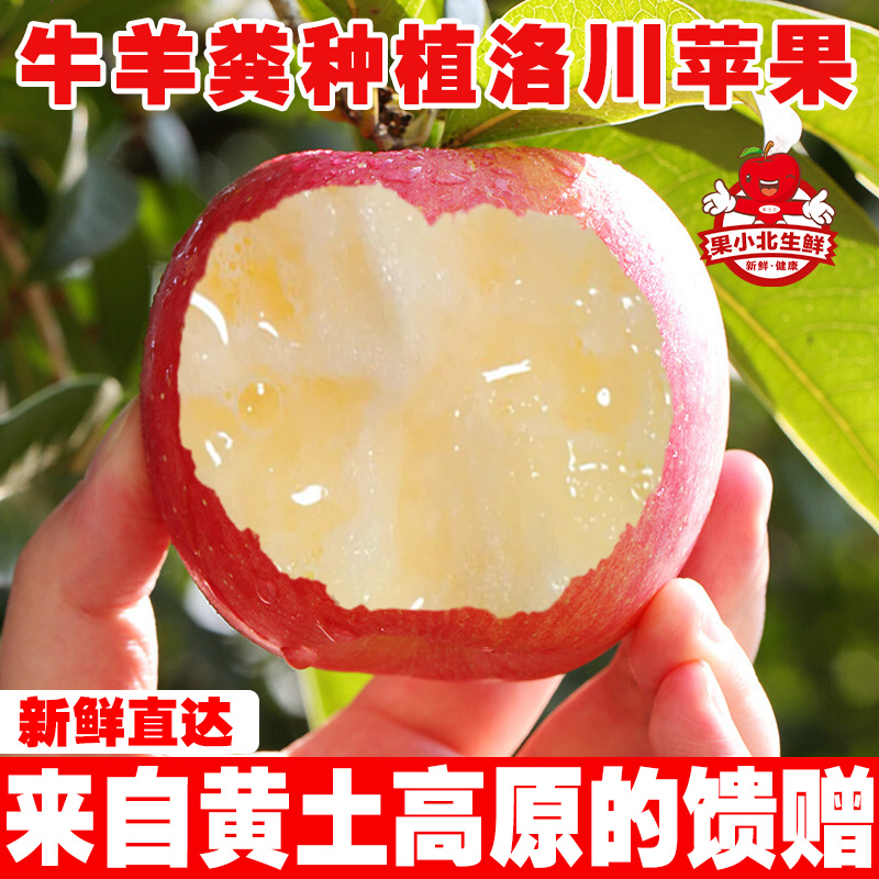 脆甜正宗一整箱礼盒陕西洛川富士