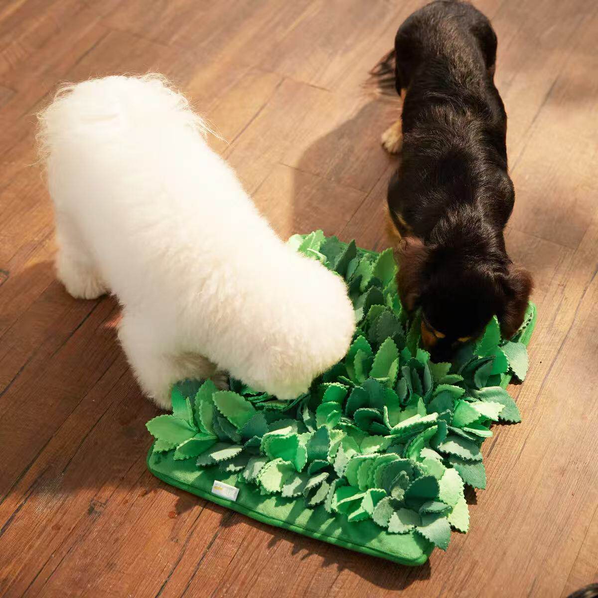 美国PuzzleFeeder响纸闻嗅垫狗狗猫猫丰荣玩具