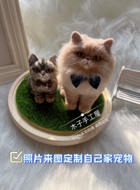 羊毛毡戳戳乐全身定制宠物猫猫狗狗微景观摆件永生纪念送礼物