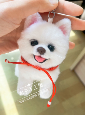 羊毛毡全身照片来图定制宠物狗狗猫猫包包挂件钥匙链随身携带