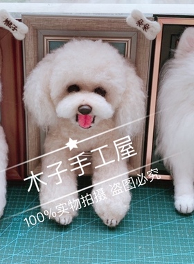羊毛毡纯手工来图定制相框摆件