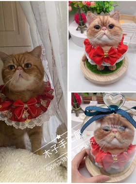 羊毛毡纯手工照片来图定制微景观