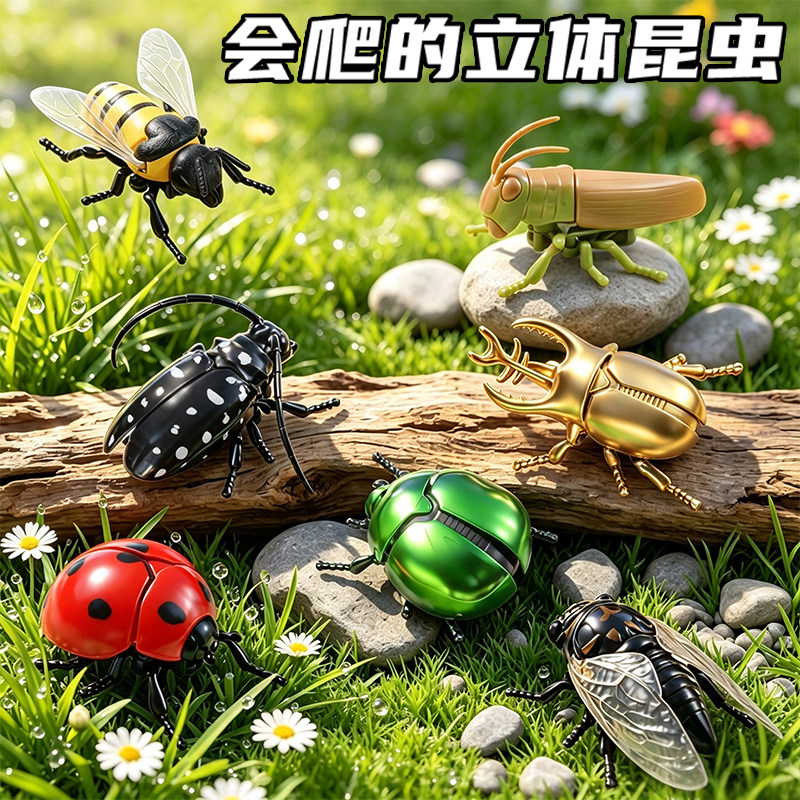发条昆虫儿童爬行知了玩具模型蝉仿真金龟子上链条甲壳虫七星瓢虫