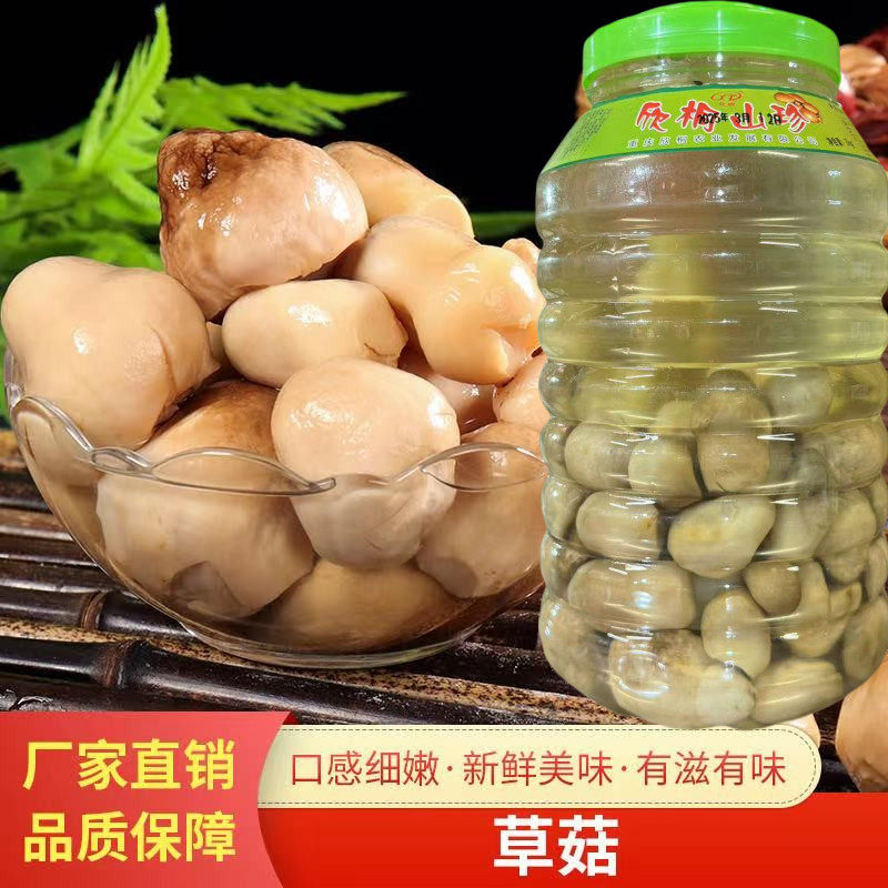 欣桐清水草菇食用菌 3000g*4桶另售蘑菇滑菇鲍鱼菇牛干菌等批量发